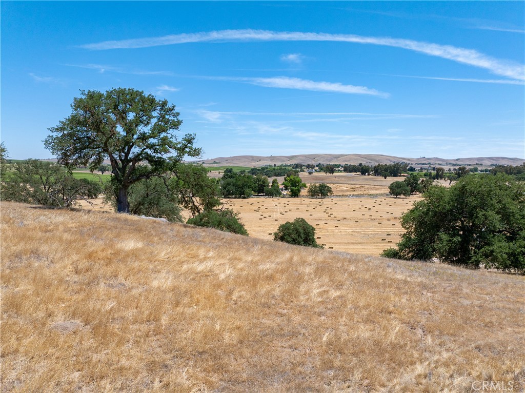 MLS #NS25115612 image #13