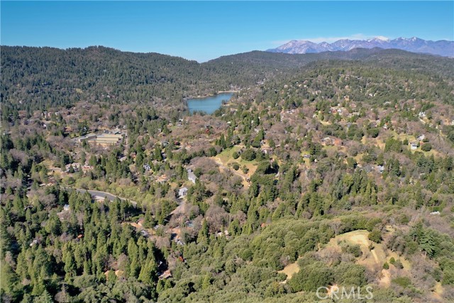 407 Dart Canyon Road, Crestline CA: https://media.crmls.org/medias/e66f4113-ffed-4340-91af-00afd835a00a.jpg