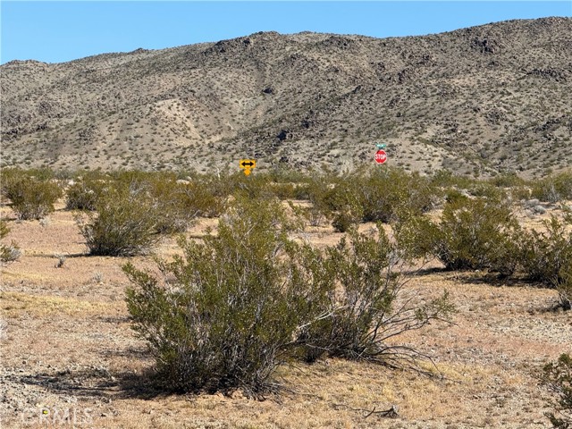 Detail Gallery Image 7 of 8 For 0 Shapaval Ave, Lucerne Valley,  CA 92356 - – Beds | – Baths