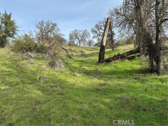 Detail Gallery Image 11 of 18 For 3224 Silver Bush Pl, Catheys Valley,  CA 95306 - – Beds | – Baths