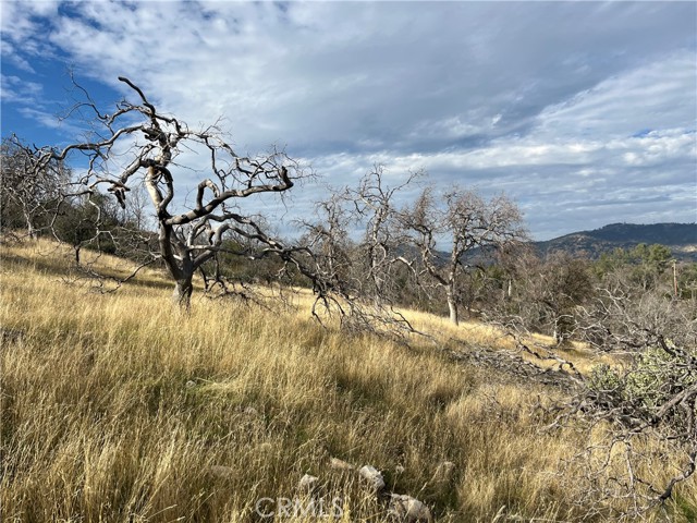 Detail Gallery Image 34 of 69 For 4934 Guadalupe Fire, Catheys Valley,  CA 95306 - – Beds | – Baths