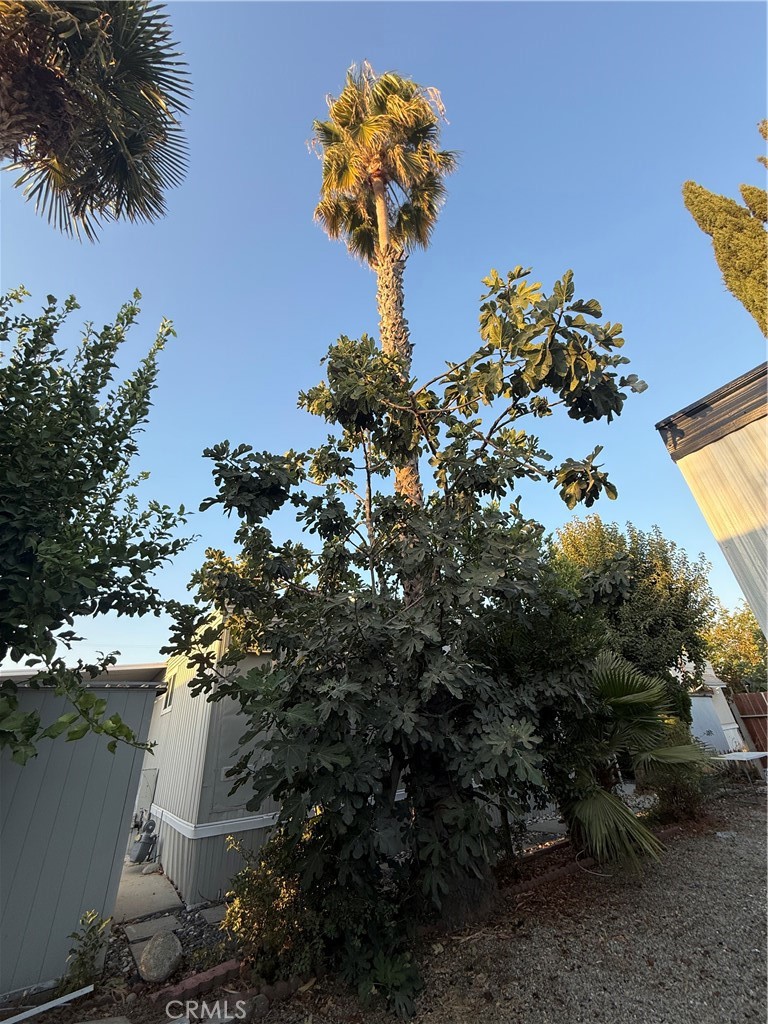 MLS #SR26111450 image #8