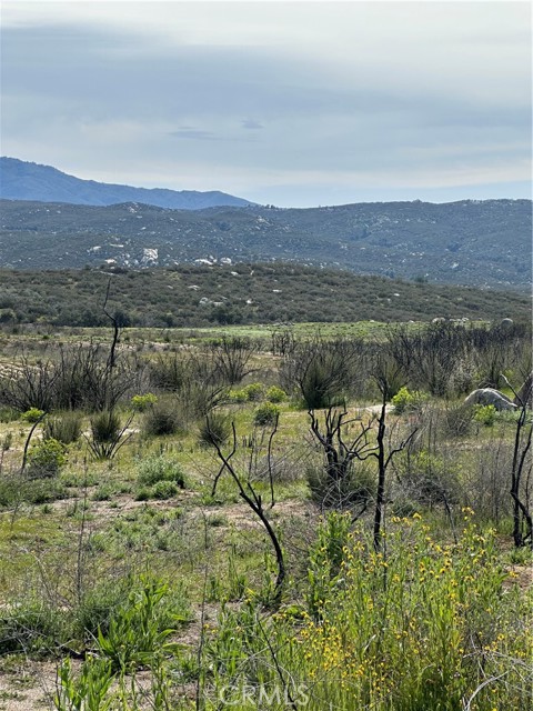 56 Taffel Ranch Road, Hemet, California 92544, ,Land,For Sale,56 Taffel Ranch Road,CRSW24049974