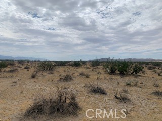 0 Racoon Avenue, Adelanto, California 92301, ,Land,For Sale,0 Racoon Avenue,CRCV23134684