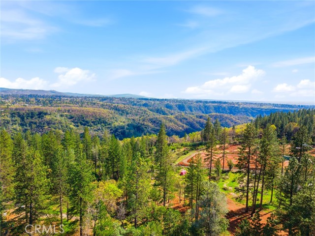 Image 41 of 49 For 13730 Nimshew Road