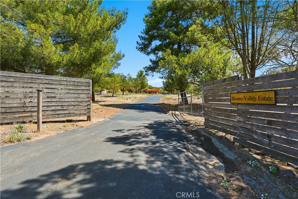 23315 Old Wagon Road - photo 3