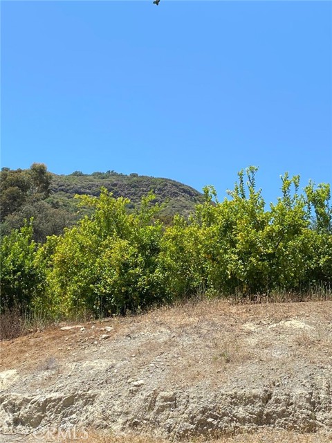 0 El Calamar Rd, Temecula CA: https://media.crmls.org/medias/e688fff4-2bd1-4e51-8af7-d24461768ba1.jpg