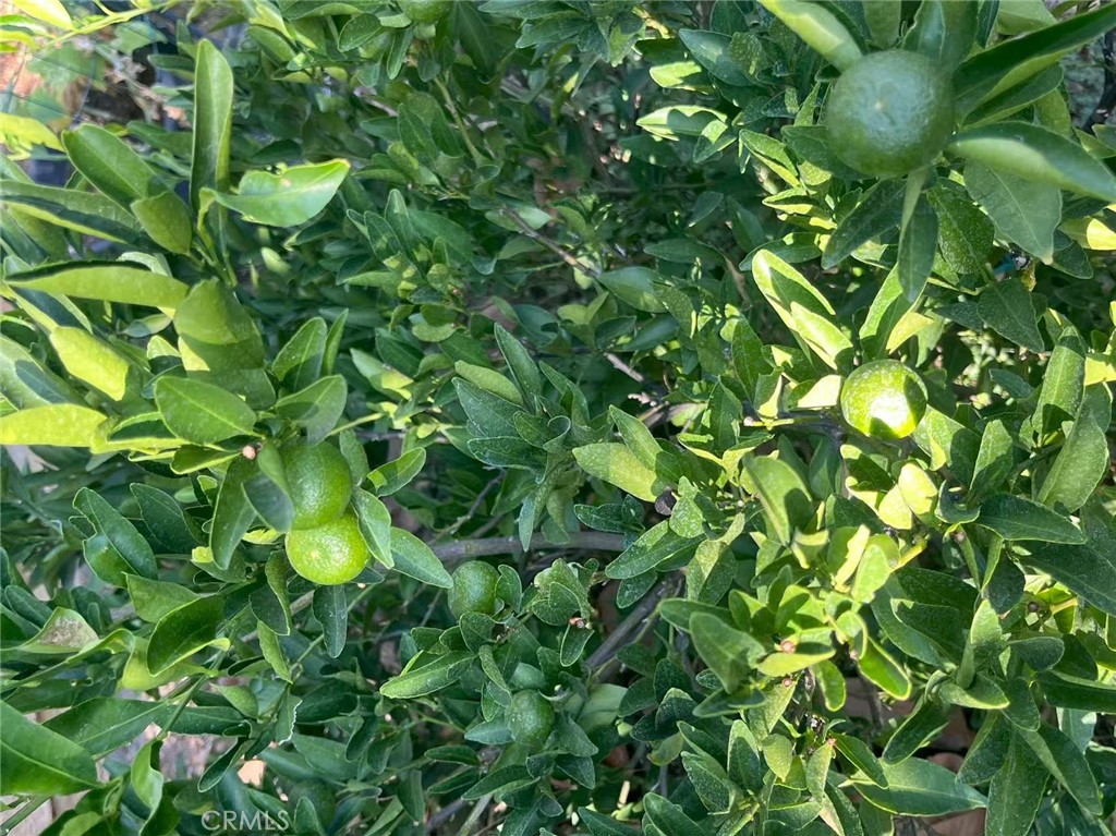 MLS #WS25271554 image #18