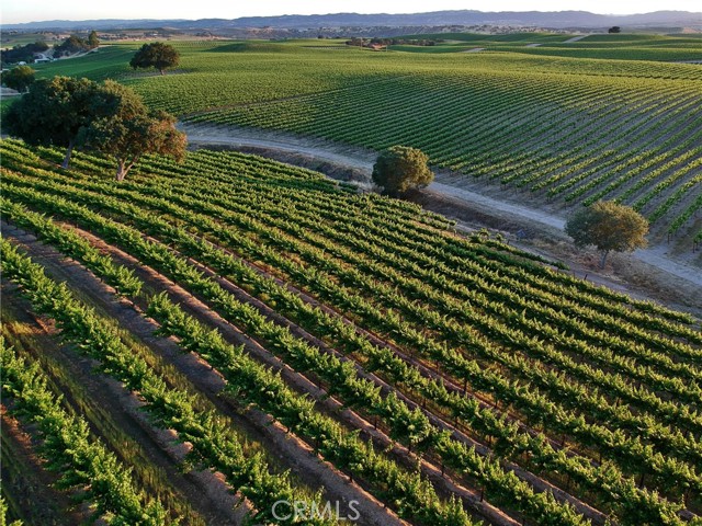 Detail Gallery Image 4 of 23 For 2980 Pleasant Rd, San Miguel,  CA 93451 - – Beds | – Baths