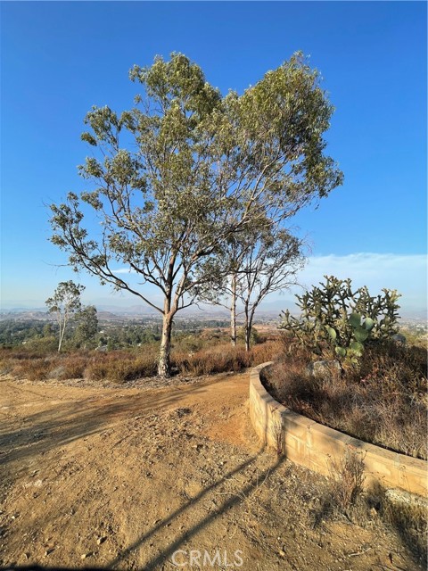 31355 Wild Lilac, Menifee CA: https://media.crmls.org/medias/e69918a9-af55-45dc-8688-c1fc87cd2a43.jpg