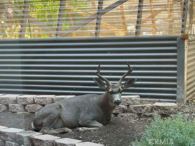 Detail Gallery Image 52 of 55 For 2298 Tipton St, Cambria,  CA 93428 - 2 Beds | 2/1 Baths