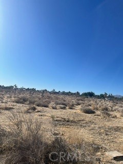 0 Pine Tree Road, Pinon Hills CA: https://media.crmls.org/medias/e6a17930-ff12-4221-ae3b-8dba67033383.jpg