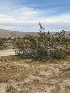 Detail Gallery Image 6 of 8 For 0 Long Canyon Rd, Desert Hot Springs,  CA 92241 - – Beds | – Baths