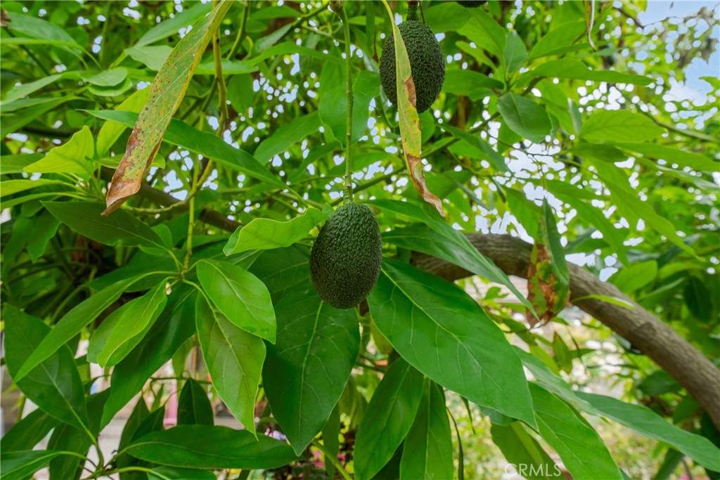 https://media.crmls.org/medias/e6a3f0f3-5446-4a44-8ec0-ad3b20cd72b7.jpg?preset=X-Large