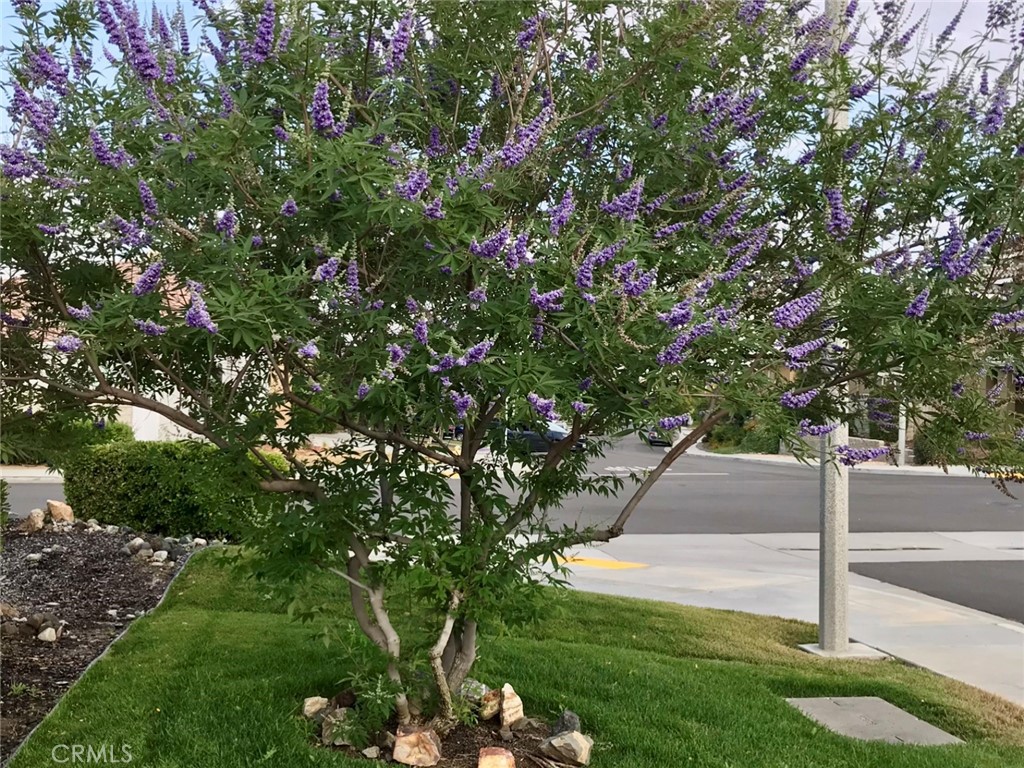 https://media.crmls.org/medias/e6a47557-ffe8-4d3f-b7a4-bc12395cf856.jpg?preset=X-Large