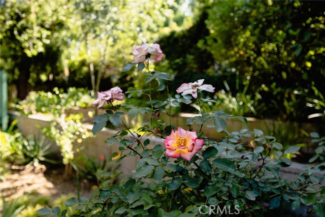 85 S San Rafael Avenue, Pasadena CA: https://media.crmls.org/medias/e6a7cd92-33b5-4206-b7c3-b57377e108e7.jpg