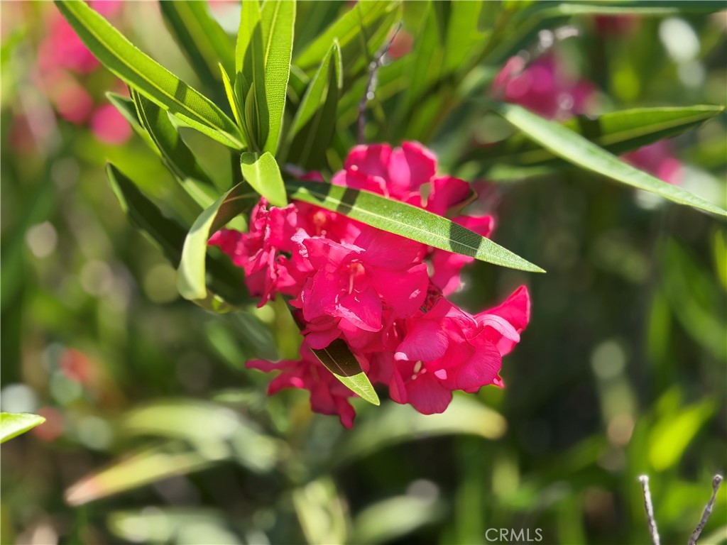 https://media.crmls.org/medias/e6b88393-d359-47be-81b2-b6f8680223e0.jpg?preset=X-Large