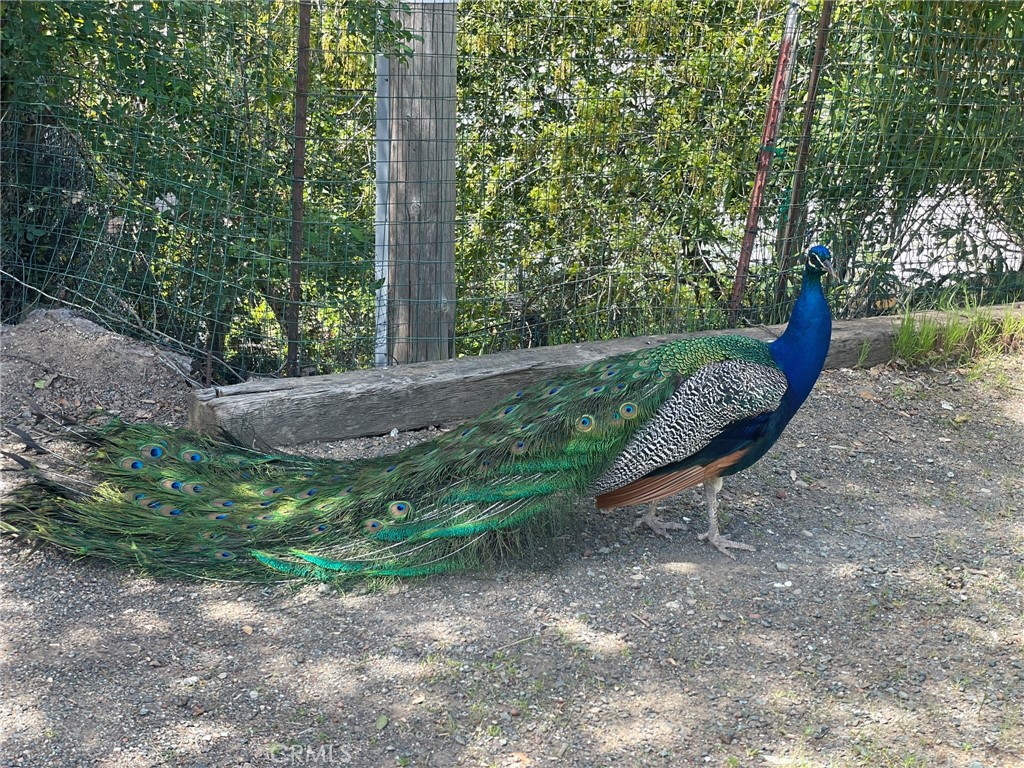 https://media.crmls.org/medias/e6bd9856-604d-46d7-ab23-b91675cd0149.jpg?preset=X-Large