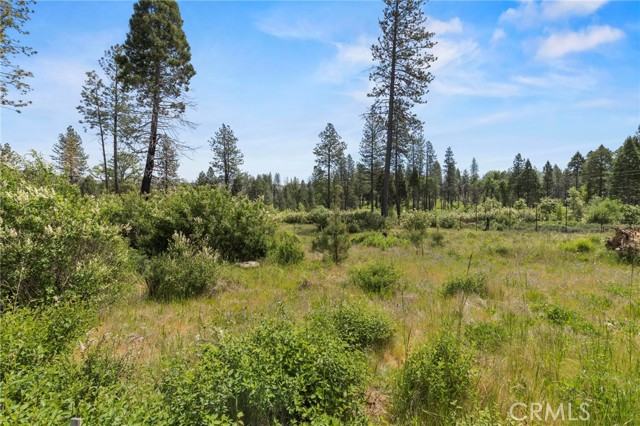 Detail Gallery Image 24 of 30 For 3874 Coniston Loop, Oroville,  CA 95965 - – Beds | – Baths
