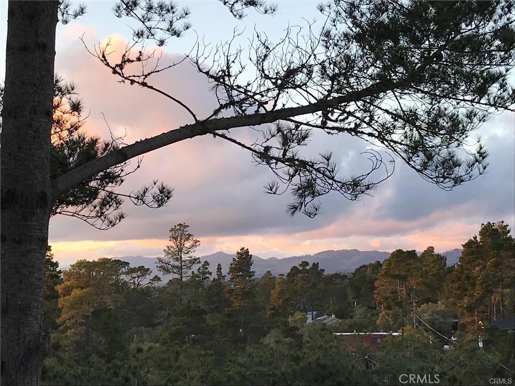https://media.crmls.org/medias/e6cc3686-a099-46d9-9aeb-296b2fb54f9b.jpg?preset=X-Large