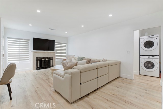 6206 Camellia photo 39