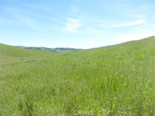 Detail Gallery Image 39 of 51 For 0 Douglas Rd. (Lot 33), San Miguel,  CA 93451 - – Beds | – Baths