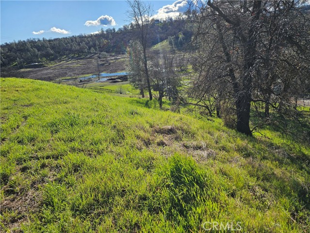 Detail Gallery Image 10 of 15 For 10167 Bell, Lower Lake,  CA 95457 - – Beds | – Baths