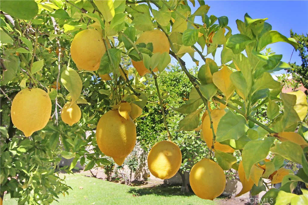 https://media.crmls.org/medias/e6e33f8d-2605-45a4-bfd9-5d9ed7087f3f.jpg?preset=X-Large