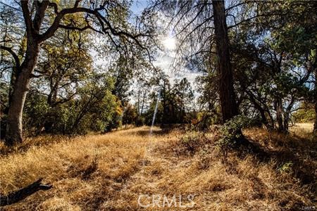 Detail Gallery Image 43 of 54 For 4816 Stumpfield Mountain Rd, Mariposa,  CA 95338 - 2 Beds | 2 Baths