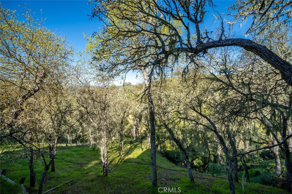 https://media.crmls.org/medias/e6e6c2a1-d6cf-4874-98ec-df99ef9b1f25.jpg?preset=X-Large