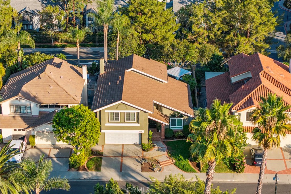 E6e8647c 4bb2 4ff0 Ae8e Ee637068a78b