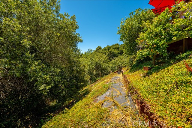 317 Sunrise Terrace, Arroyo Grande CA: https://media.crmls.org/medias/e6e8fa8e-c126-4a46-9a03-017a4751a3fc.jpg