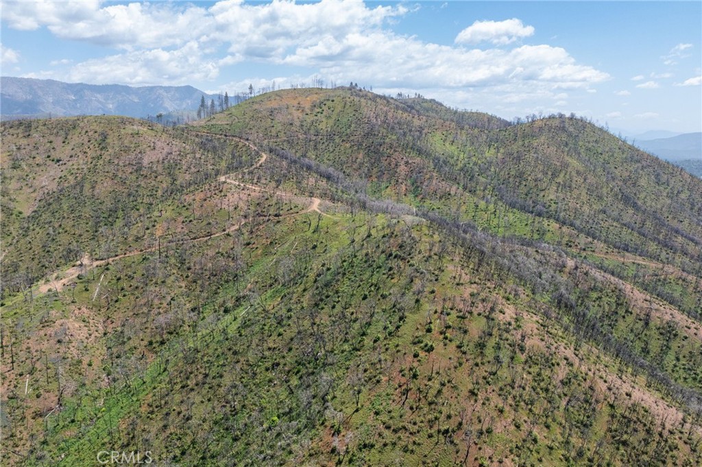 MLS #MP25088475 image #33