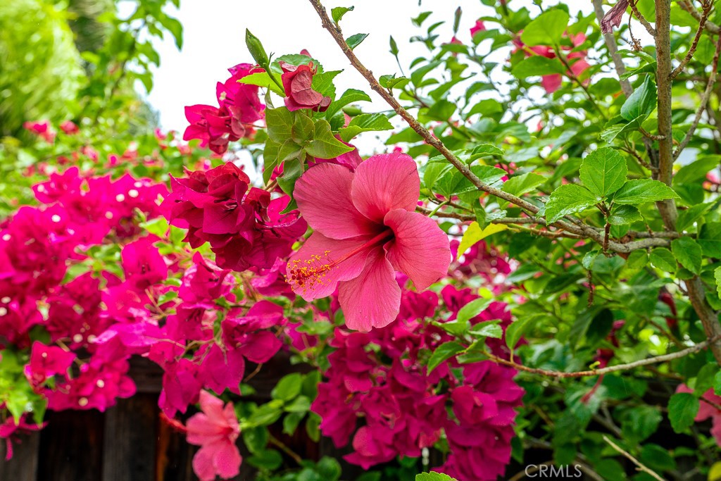 https://media.crmls.org/medias/e6f03768-c6d0-4b5b-ad6b-d5b555a994d0.jpg?preset=X-Large