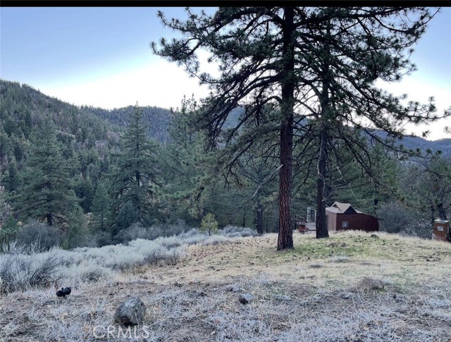 Detail Gallery Image 4 of 5 For 16441 Jungfrau, Tehachapi,  CA 93561 - – Beds | – Baths