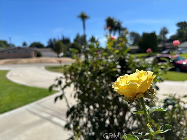 Detail Gallery Image 33 of 41 For 22746 Arliss Dr, Grand Terrace,  CA 92313 - 3 Beds | 2 Baths