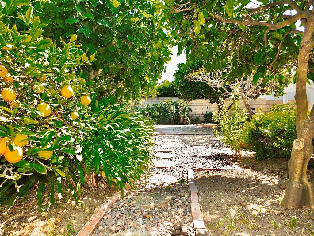 https://media.crmls.org/medias/e6f7d04e-67fa-4c3b-8f29-fc0463bcbb86.jpg?preset=X-Large