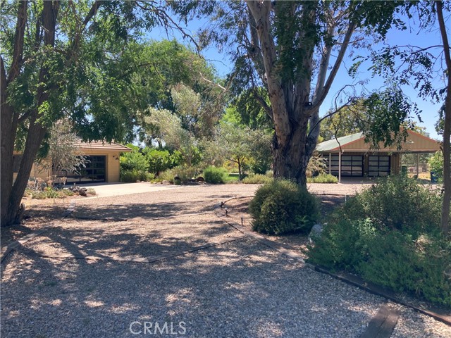 4525 Buena Vista Drive, Paso Robles CA: https://media.crmls.org/medias/e6fed74d-1a65-4973-9be9-f69483a69900.jpg
