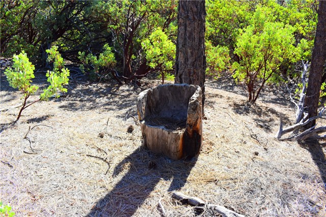 Detail Gallery Image 46 of 48 For 0 Incense Cedar Trl, Groveland,  CA 95321 - – Beds | – Baths