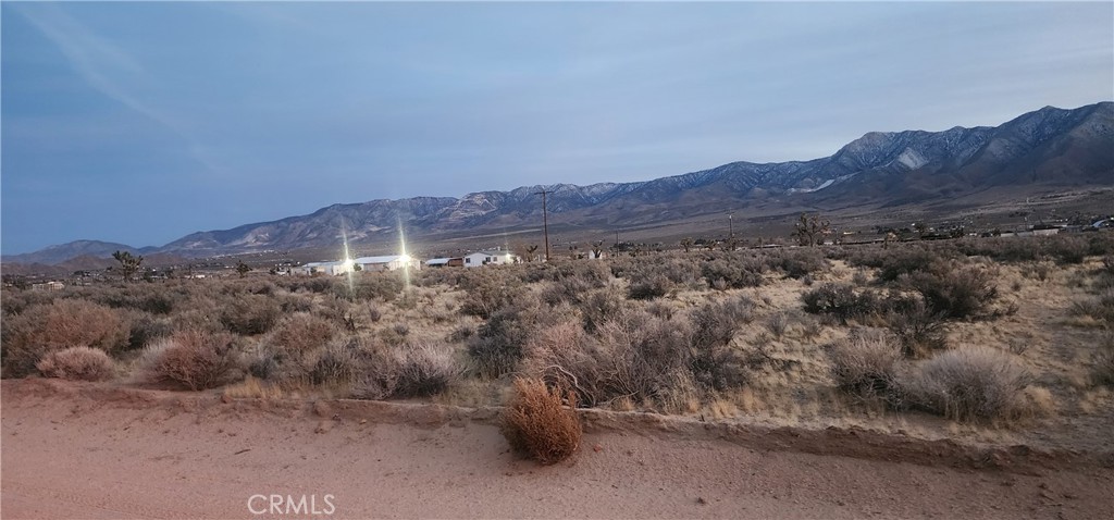 MLS #IV25049226 img 9