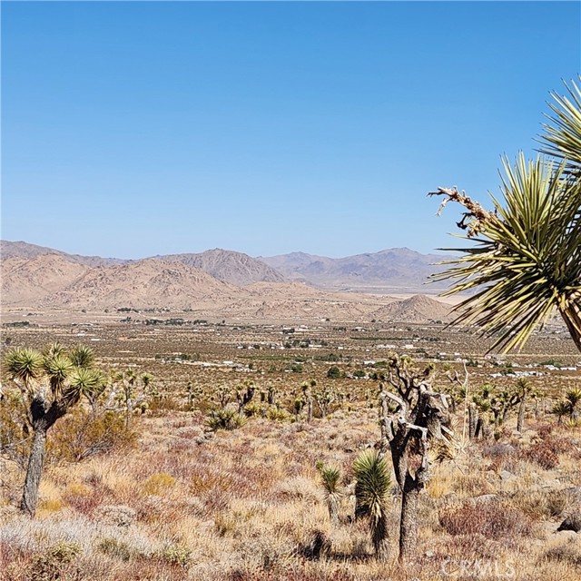 Detail Gallery Image 16 of 18 For 8025 Miller Ranch Rd, Lucerne Valley,  CA 92356 - – Beds | – Baths