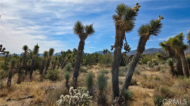 Detail Gallery Image 17 of 49 For 0 103rd St East Vicinity W14, –,  CA 93543 - – Beds | – Baths