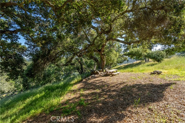 Detail Gallery Image 52 of 63 For 10885 San Marcos Rd, Atascadero,  CA 93422 - 4 Beds | 3/1 Baths