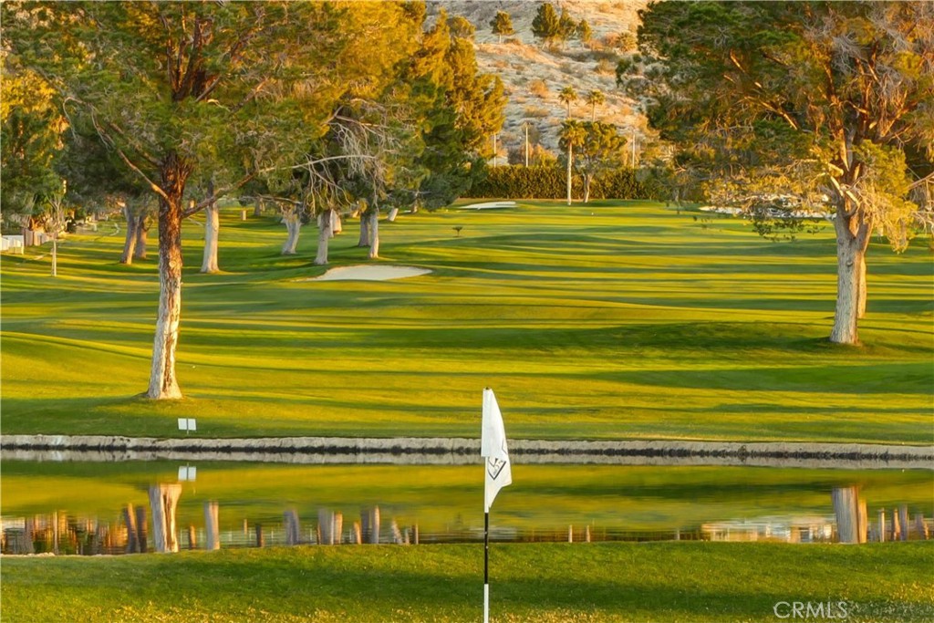 MLS #TR25262576 image #19