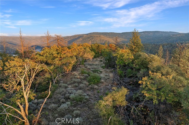 0 Wicks Way, Oroville, California 95966, ,Land,For Sale,0 Wicks Way,CROR23209304