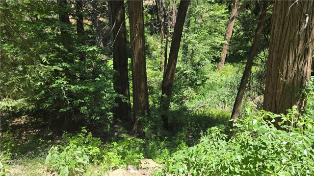 Detail Gallery Image 1 of 1 For 0 Burnt Mill Canyon Rd, Cedarpines Park,  CA 92322 - – Beds | – Baths