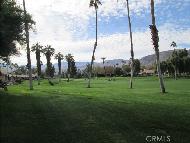 263 Serena Drive, Palm Desert, California 92260, 2 Bedrooms Bedrooms, ,2 BathroomsBathrooms,Residential,For Sale,263 Serena Drive,CREV24190068