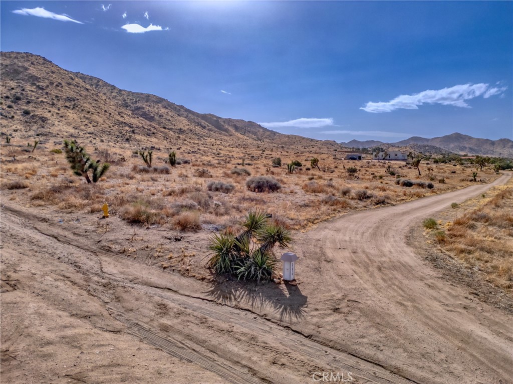 MLS #JT25046600 image #23