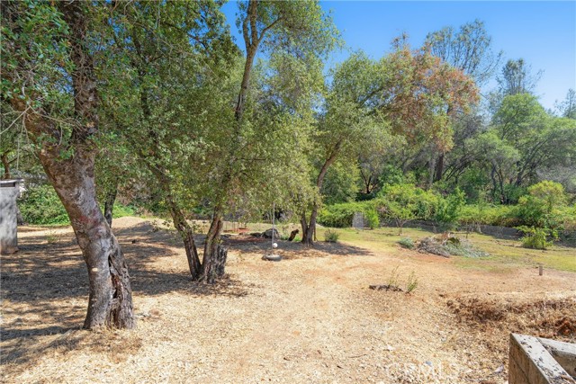 339 Mt Ida Road, Oroville CA: https://media.crmls.org/medias/e71de446-6318-4443-9838-59e15db68a08.jpg