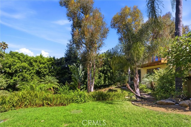 3635 Serra Road photo 38